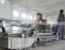 Raspberry Strawberry Juice Processing Machine/Hot Filling Machine thumbnail-3