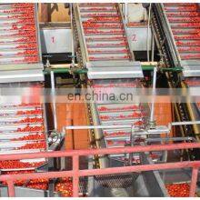 Fruit Apple Date Jam Making Cocoa Garlic Sauce Tomato Paste Making Machine Production Line thumbnail-5