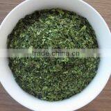 Green Seaweed Ulva Nori Sea Lettuce