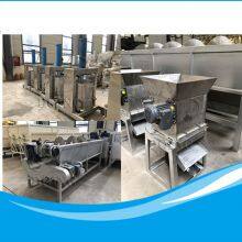 Garri Making Plant Cassava Gari Processing Facility Nigeria and Ghana Hot Sale Garri Fryer and Cassava Peeler thumbnail-5