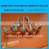 Roofing Nails for Wood