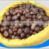 Chestnut new crop