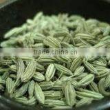 Fennel Oil (Foeniculum Vulgare) thumbnail-3