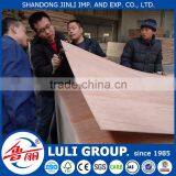 Hot Sale Door Skin Plywood thumbnail-5