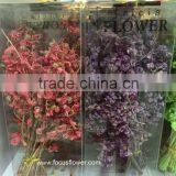 Names Of Flowers Artificial Flower China Wedding Gypsophila Factory Directly Sell thumbnail-4