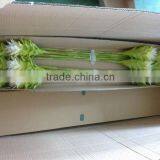 Artificial Bromelia Flower