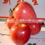 Red Star Apple