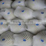 Ya Pear Crop 2011 thumbnail-1