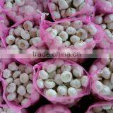 Hot Selling Normal White Fresh Garlic Price thumbnail-5