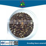 suppliers picture dried parrot tropical birds millet seed