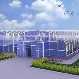 50*8m/100*8m Agricultural Plastic Tunnel Greenhouse thumbnail-3