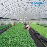 Polytunnel Garden Greenhouse Pollytunnel thumbnail-5