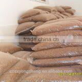 FDA Certification Tenebrio Molitors thumbnail-2