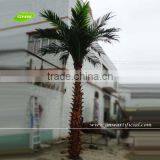 GNW APM013 Imitative 5m High Artificial Palm Outdoor Tree for Decorations thumbnail-2