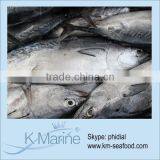 Carton or Woven Bag Packed 18 Months Shelf Life Iced Bonito thumbnail-1