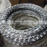 High Quality Electro/hot Dipped Galvanized Concertina Razor Wire/razor Barbed Wire From Factory thumbnail-6