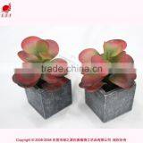 Hot Sell Cheap Wholesale Fake Mini Bonsai Potted,articial Bonsai Outdoor Decoration thumbnail-1