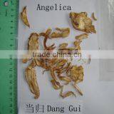 2016 New Dang Gui Slice/Angelica Slice Decoction Pieces thumbnail-1
