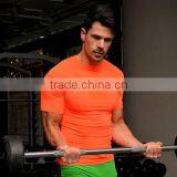 Custom Gym Fitness Workout T Shirt For Men Summer Style Seamless T Shirt thumbnail-3