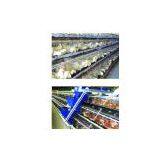 A-Frame Battery Chicken Cage thumbnail-1