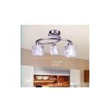 Modern Home Lighting,Manufacture Glass Ceiling Light for Decorations from Olonglighting