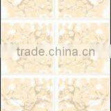 South Africa Ceramic Wall Tile 200X300 23058C
