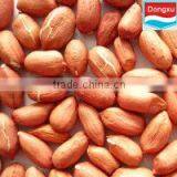 Bulk Fair Trade Red Skin Peanut Kernel thumbnail-1