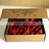 Premier Quality Custom Made Wholesale Boxes for Packing Strawberry