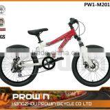 20"Front Suspension Alloy Moutain Bike (PW1-M20104) thumbnail-1