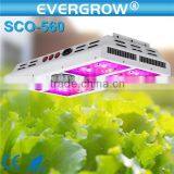EverGrow Led Grow Light 600W Hydroponic Plant Veg Flower TrueWatt 400W thumbnail-1