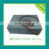Topband LiFePO4 48V 120Ah Clean Car Battery Pack with BMS