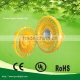 CE&RoHS&UL Listed 100W Led Explosion-proof Lighting