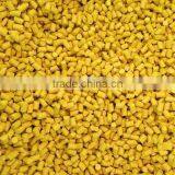 Plastic Color Masterbatch Granular thumbnail-3