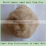 Dehaired Camel Hair From Alashan, Inner Mongolia thumbnail-1