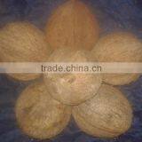 Fresh Old Cocount thumbnail-1