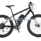 O5-E-FAT thumbnail-1