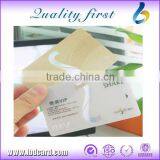 Transparent Business Card With Gold / Silver Stampling