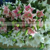 Imitation Lily Flower