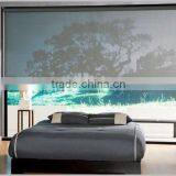 Combi Blinds Office Curtains and Blinds Waterproof Roller Blinds