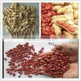 2014 Crop Chinese Red Skin Peanuts 50/60 40/50 , Good Quality With no Aflatoxin thumbnail-4
