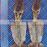 High Qulity Dry Squid for Sale thumbnail-2