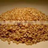 Sesame Seed thumbnail-4