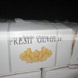 Hot Sale Organic 2016 Fresh Ginger thumbnail-5