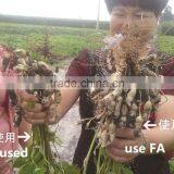 Fulvic Acid Fertilizer thumbnail-5