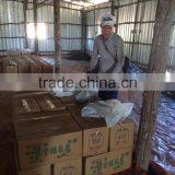 Charcoal Best Grill thumbnail-5