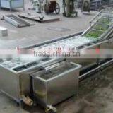 Industrial Vegetable and Fruit Washing Machine thumbnail-3
