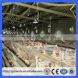 3 Tiers of 120 Birds Layer Cage/Uzbekistan Poultry Equipment(Guangzhou Factory) thumbnail-1