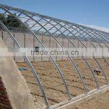 Vegetable Greenhouse Polycarbonate Sheet Fim thumbnail-3