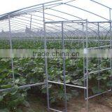 Low Cost High Tunnel Greenhouse Frame thumbnail-1