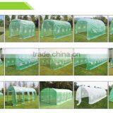 Kinds of Polytunnel Greenhouse Pollytunnel Poly Polly Tunnel Fully Galvanised Anti Rust Steel Frame thumbnail-1